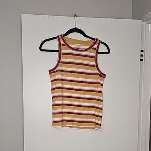 Madewell Multicolor Striped Knit Top